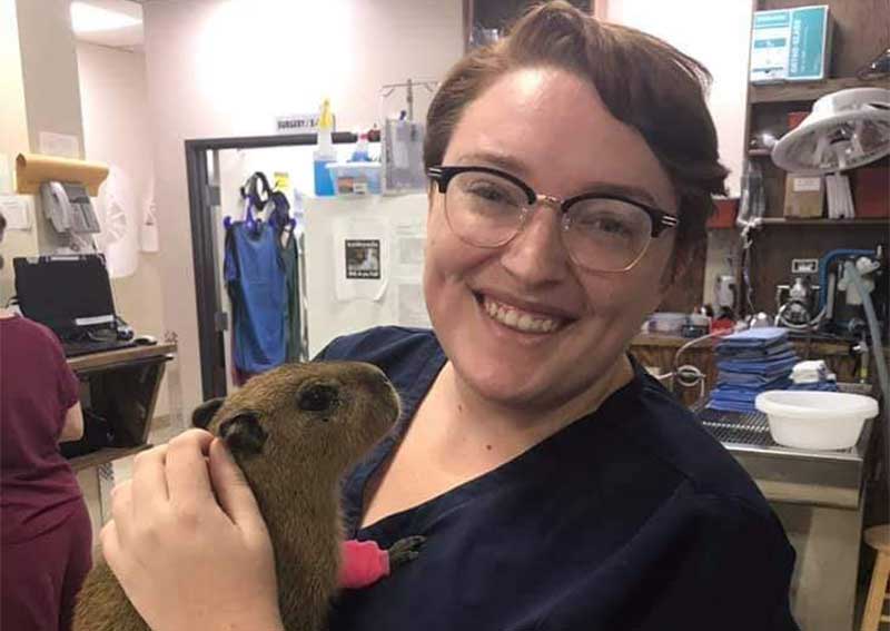 Pocket Pet Veterinary Care, Denton